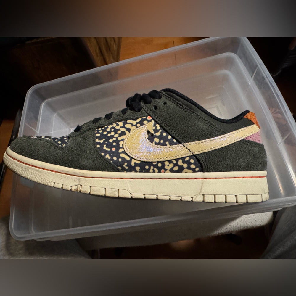 Nike dunk men’s shoes